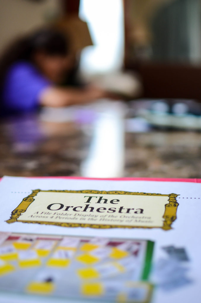 Homeschool in the Woods A La Carte Projects The Orchestra Review