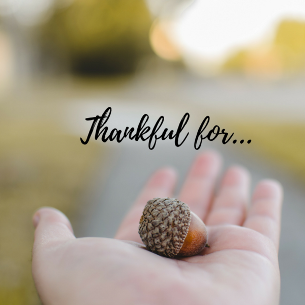 “Thankful for…”