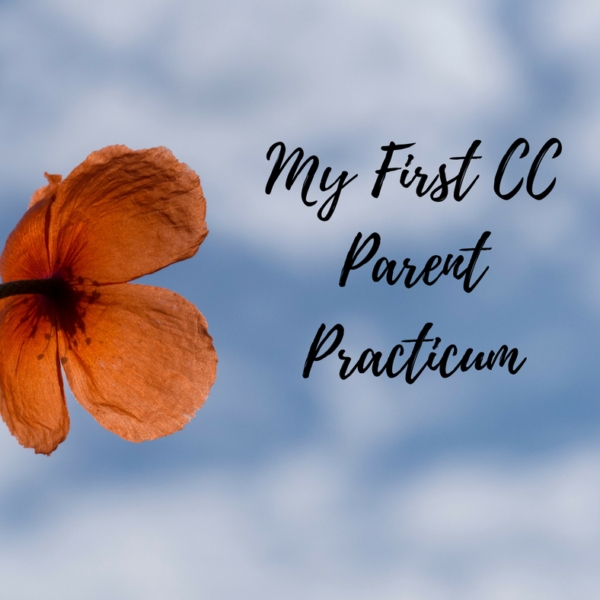 CC Parent Practicum 2014: A Honest Review