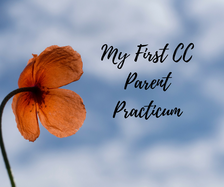 CC Parent Practicum 2014: A Honest Review