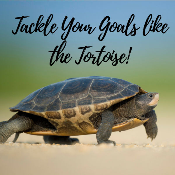 Tackle your Goals like the Tortoise!