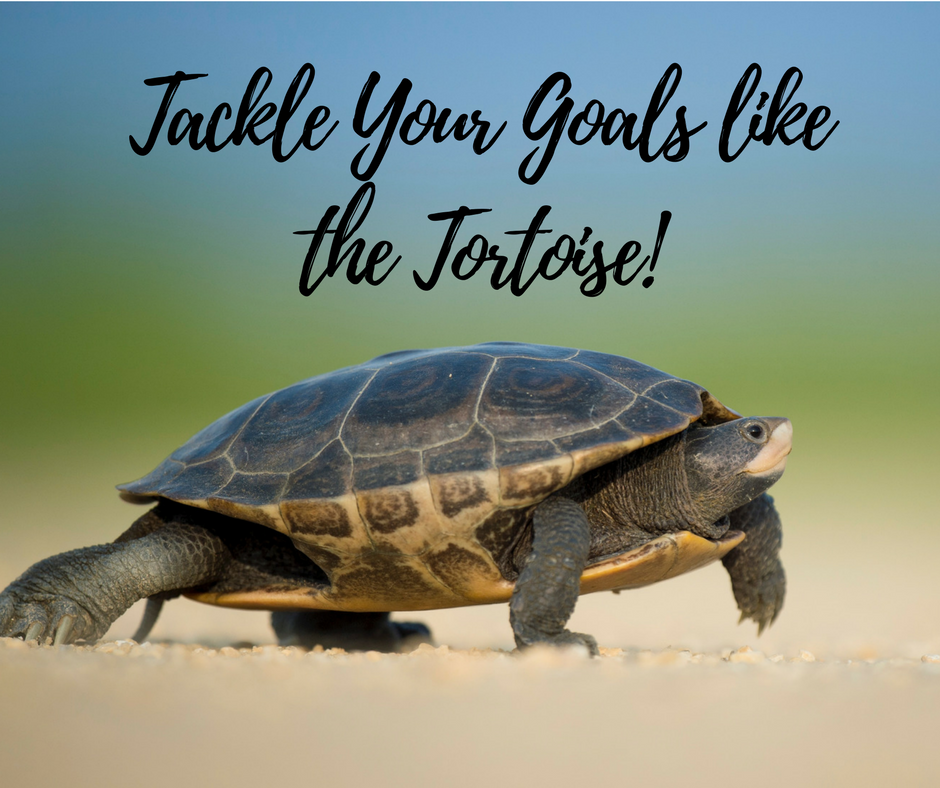 Tackle your Goals like the Tortoise!