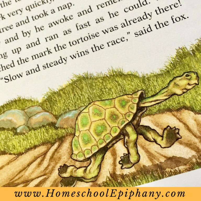 Tackle your Goals like the Tortoise!